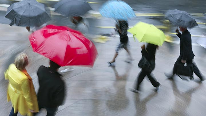 Das Bild zeigt viele Personen mit Regenschirmen, es regnet.